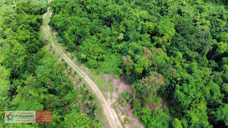 Address withheld Savusavu_28