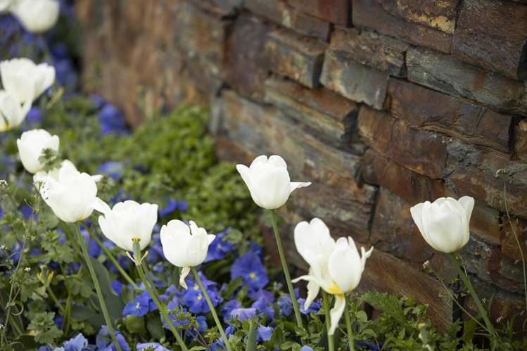 408/34 Red Oaks Drive Frankton_13