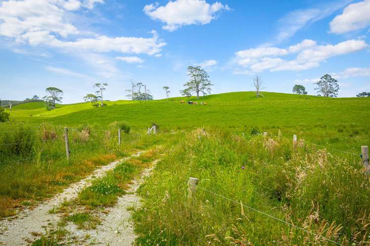 515 Kahikatea Flat Road Waitoki_46