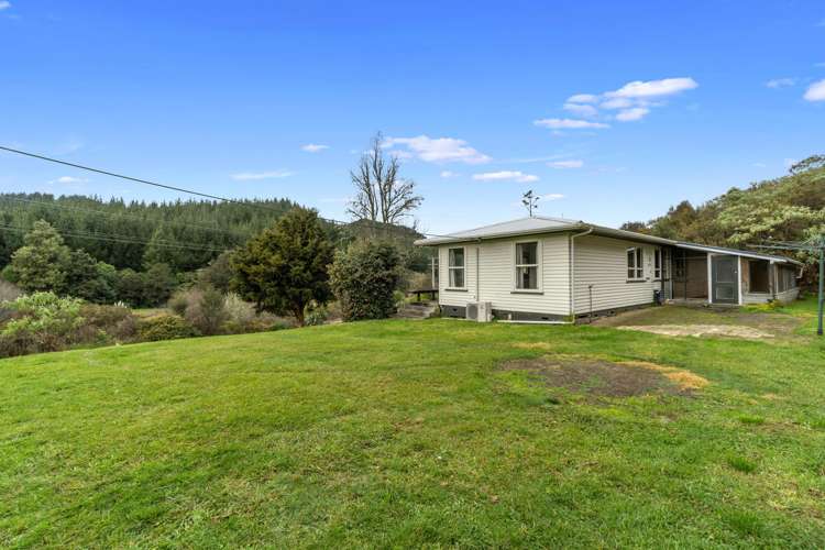 303 Cogswell Road Raglan_19