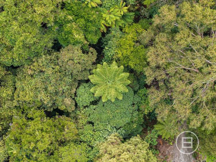 Rutherglen Road Marsden_6