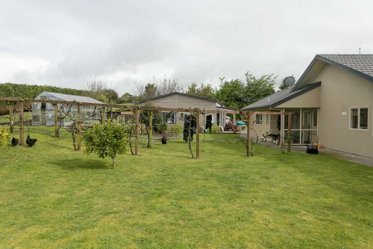 64 Oak Drive Wairakei and Surrounds_22