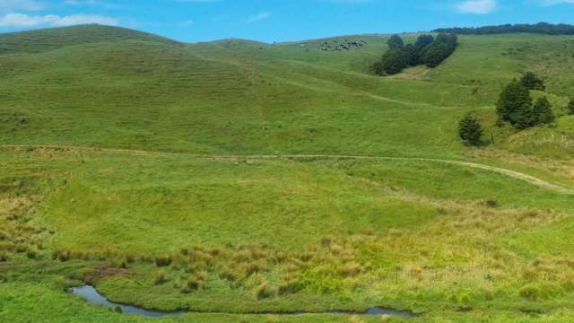 15ha Bay of Islands Grazing/Lifestyle Block
