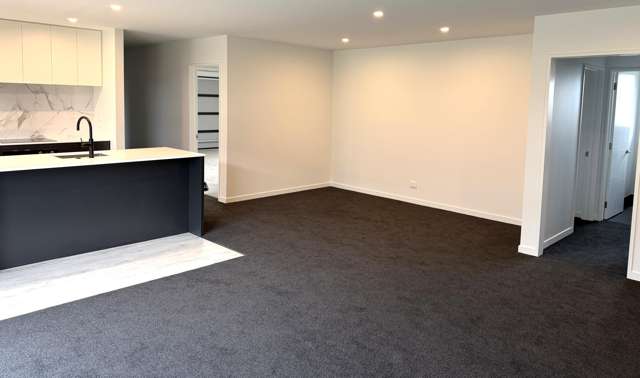 12 Vercoe Street Ashburton_4