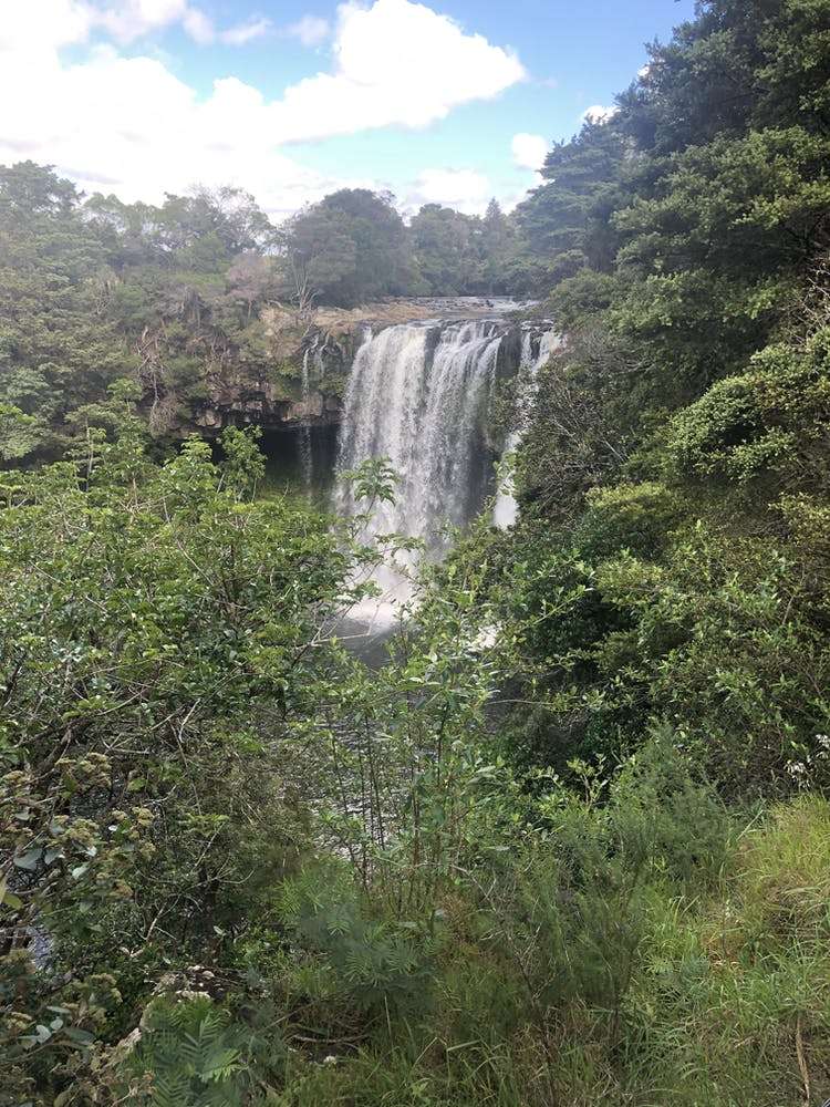 23 Awhitu Road Kerikeri_11