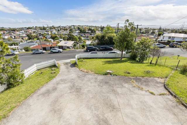 33 Ellis Avenue Mount Roskill_1