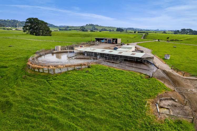 78a Waitoetoe Road Mimi_8