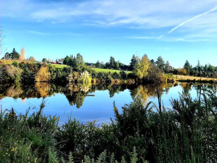 23 Hewetson Road Upper Moutere_1