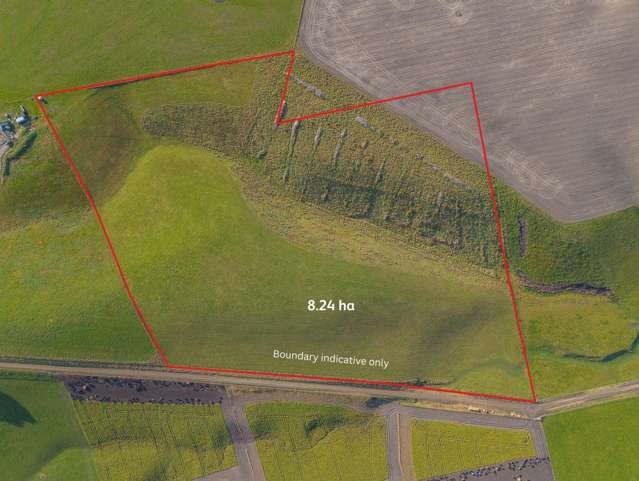 Build, graze, escape - endless options