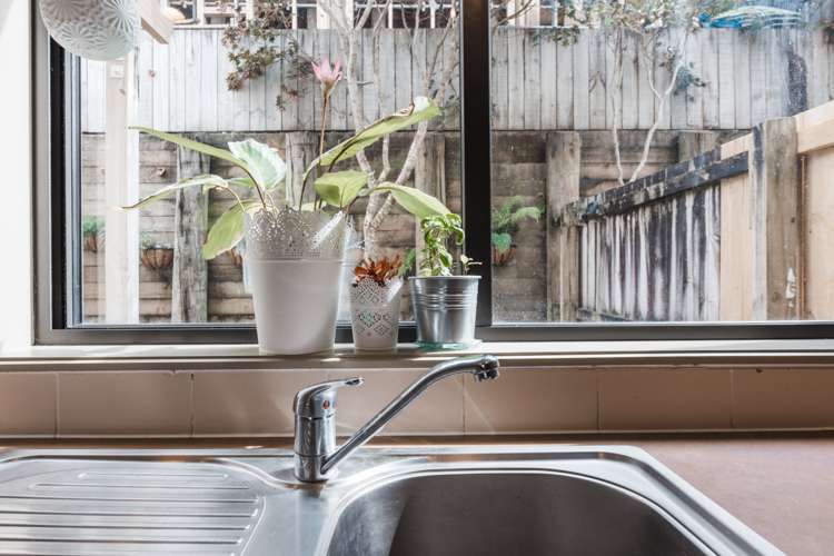 16/17 Georgia Terrace Albany_6