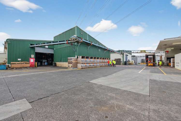 100 Kerwyn Avenue East Tamaki_4