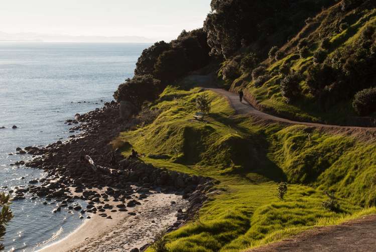 201/16 Adams Avenue Mount Maunganui_16