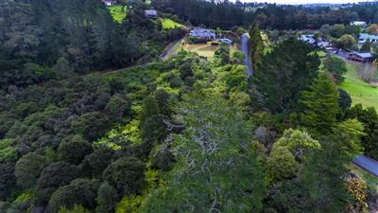 128 Foley Quarry Road Dairy Flat_19