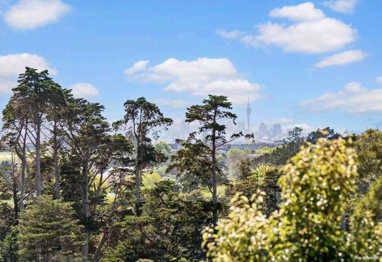 21 Eyre Street Henderson_13