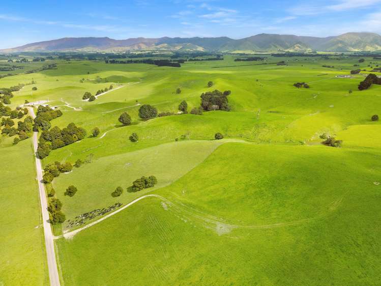 268 Kiritaki Road Dannevirke_10