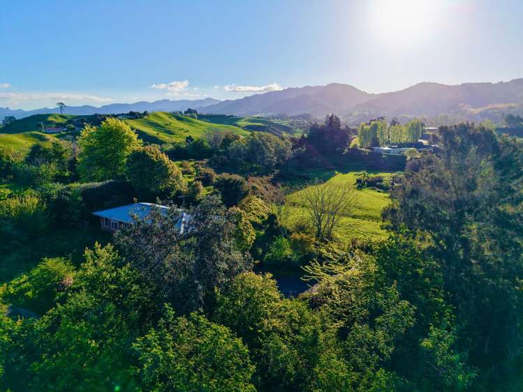 74B Willoughby Road Katikati_17