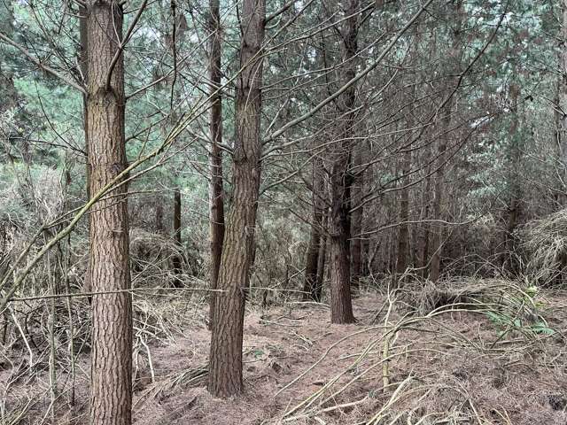 Forestry Block - 11 Hectares