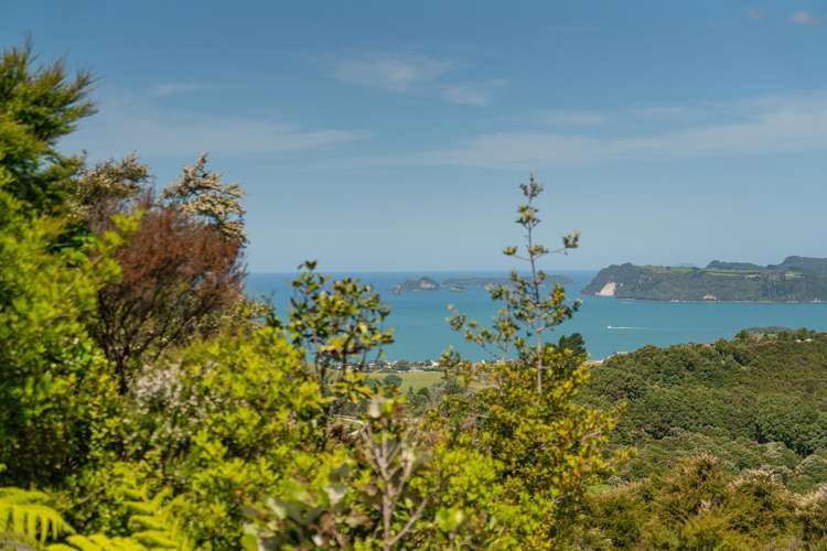 57 Tarapatiki Drive Whitianga_6