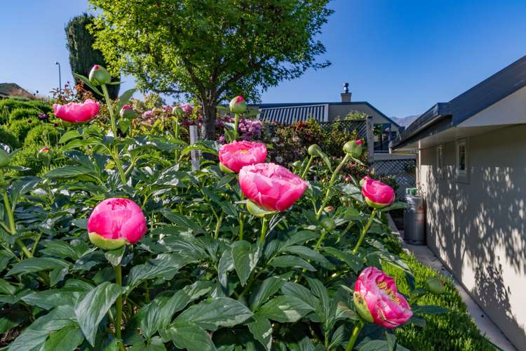 1 Cotter Avenue Arrowtown_4