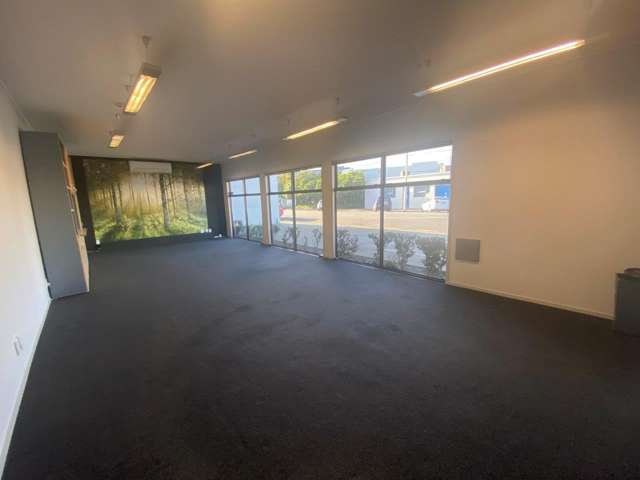 463 Jackson Street Petone_1