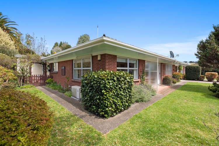 102 Springfield Road Springfield_14