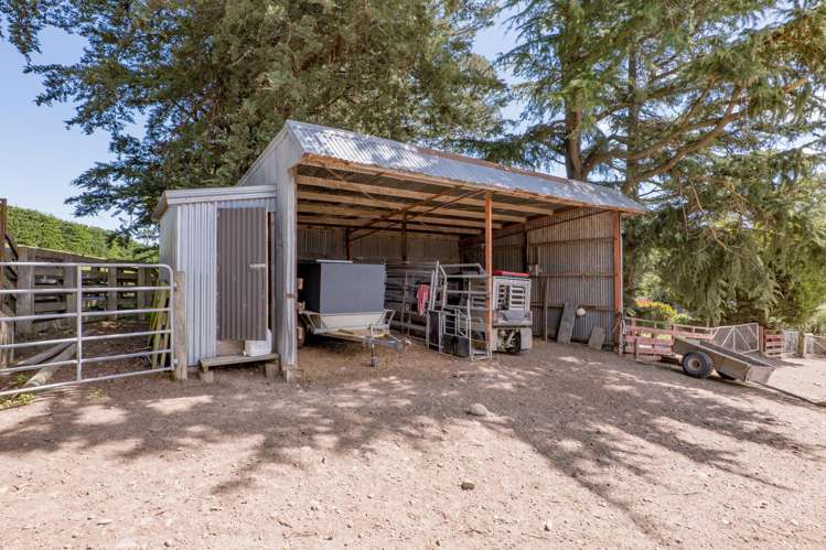 299 Domett Road Domett_14