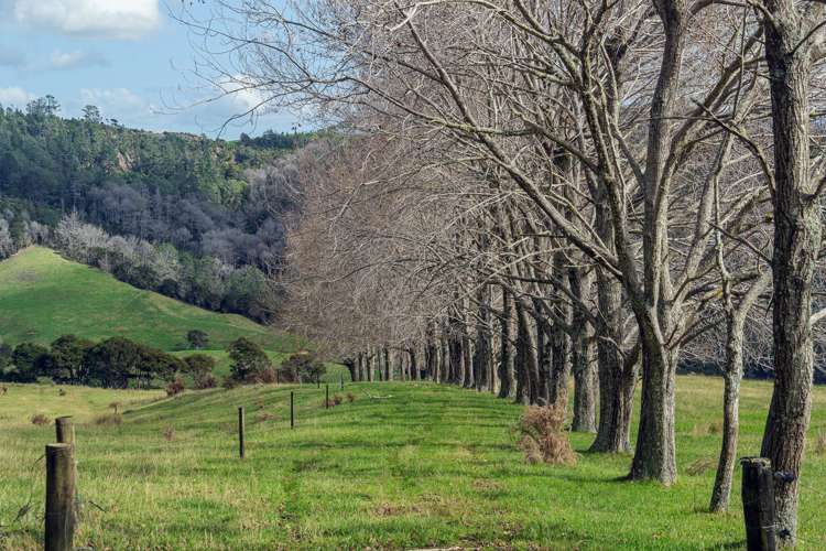 425n Boat Harbour Road Whenuakite_29