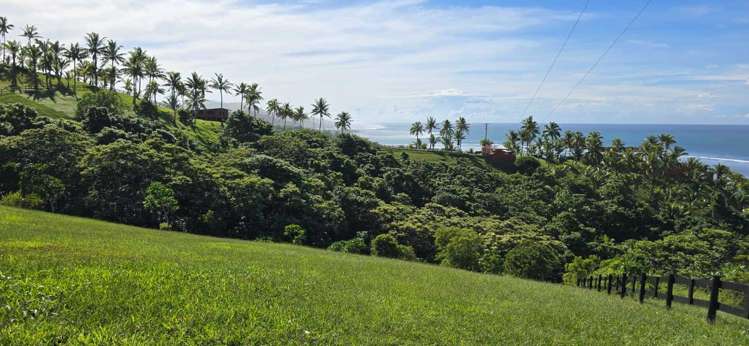 Address withheld Coral Coast_13