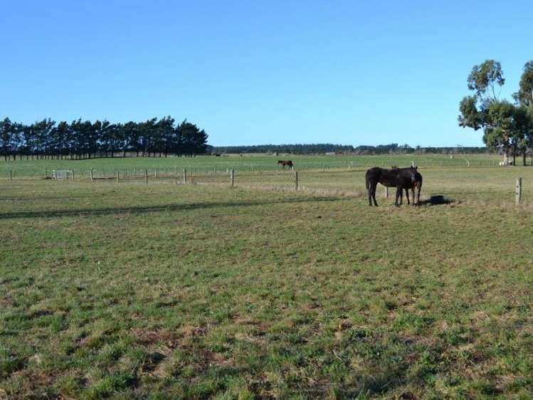 84 Broad Road Sefton_20