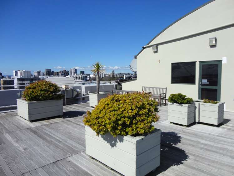 8b/31 Day Street Auckland Central_6