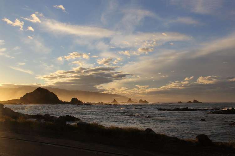 354 The Esplanade Island Bay_19