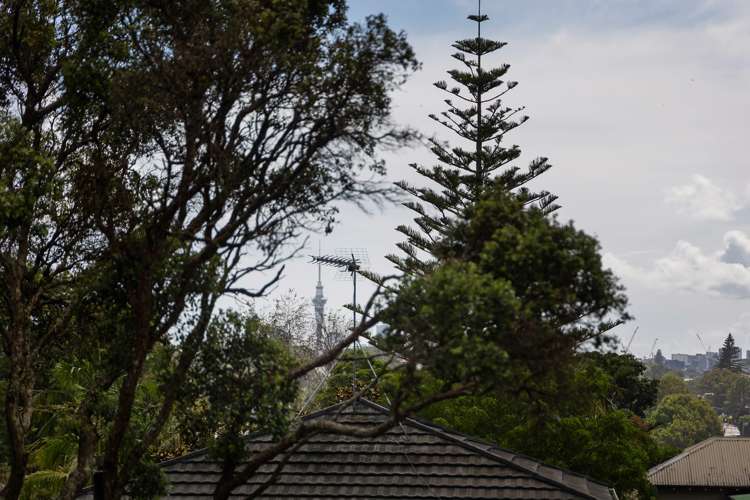 18 Alexis Avenue Mount Albert_35