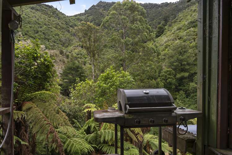 144 Graham Valley North Branch Road Motueka Valley_19