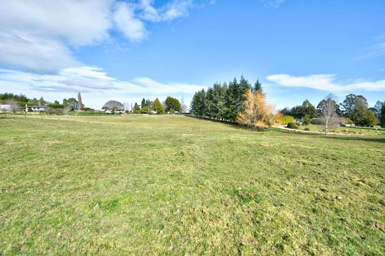 Braudigam Road East Tapanui_23