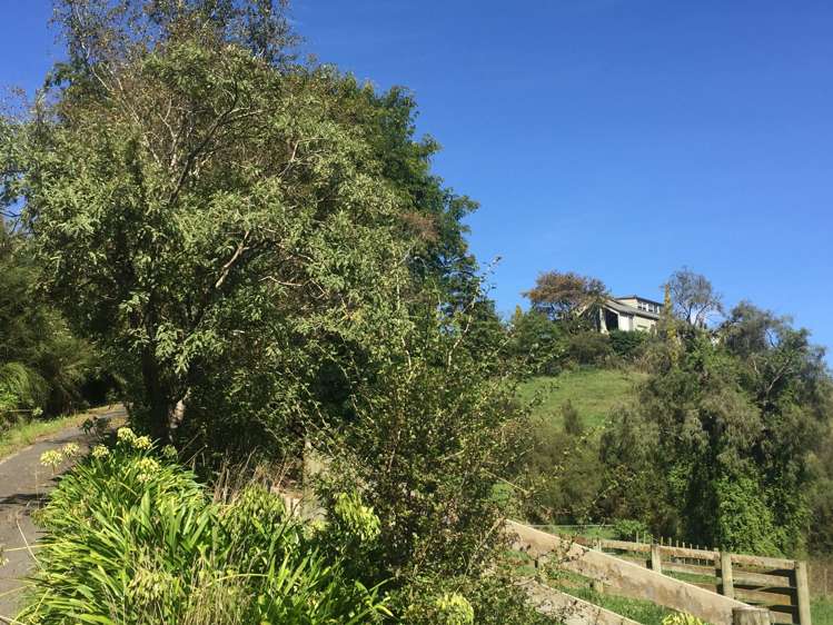 547 Papaiti Road Papaiti_14