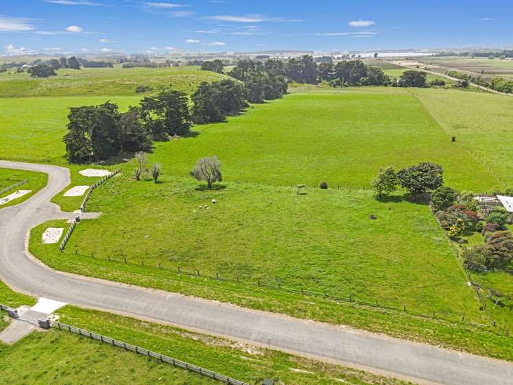 20 Whio Grove Hokio Beach_6