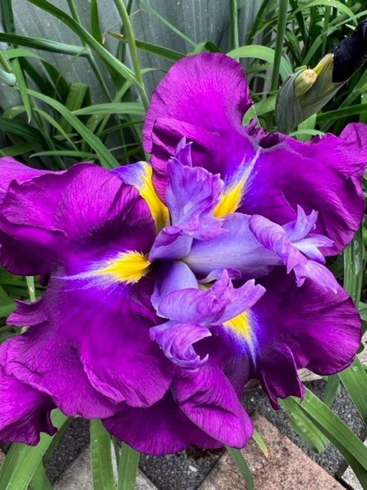 92 Reservoir Street Putaruru_29