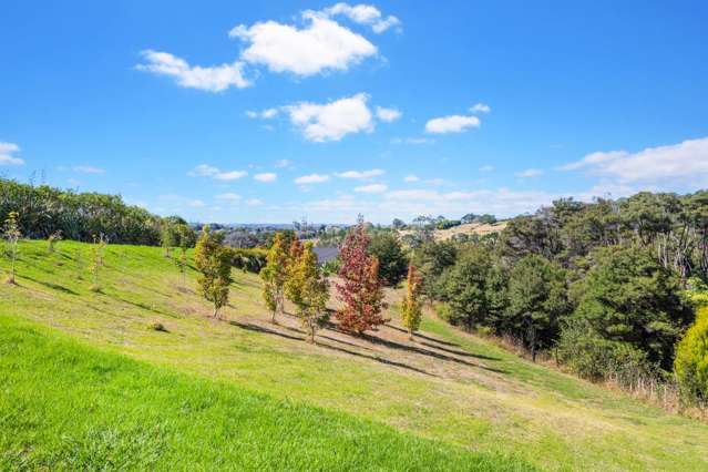 91b Sunnyvale Road Massey_4