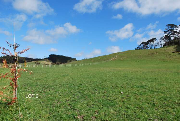 29 Zanders Road Helensville_0