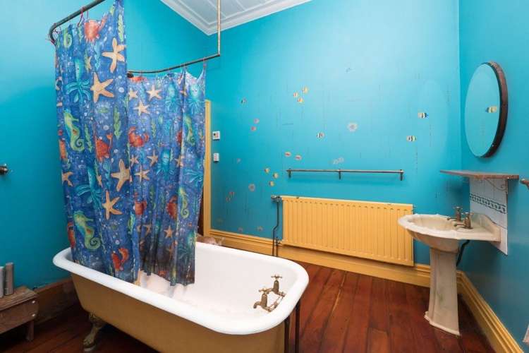 56 Patu-Kukupa Street Manaia_10