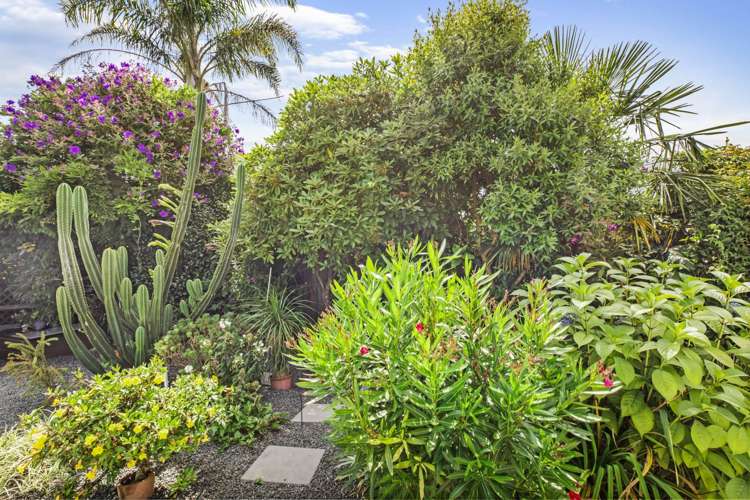 10 Conway Road Paengaroa_11