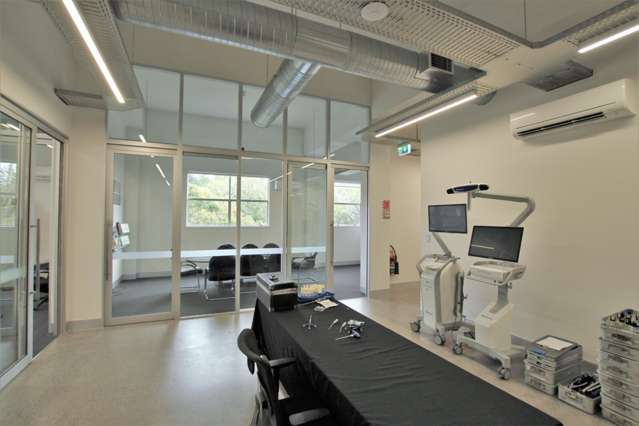 31 Cheshire Street Parnell_1