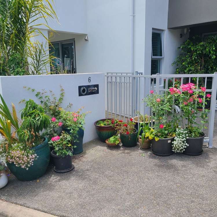 6 Azores Way Welcome Bay_2