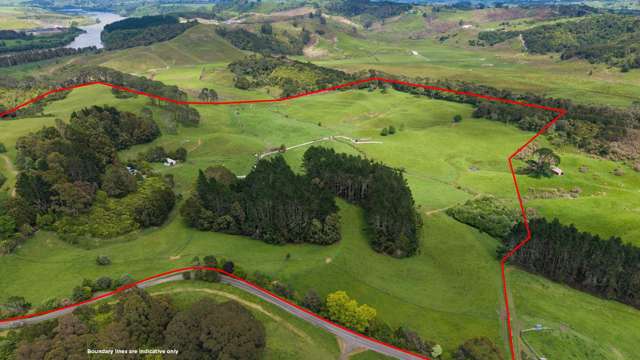 316 Bluff Road Pokeno_2