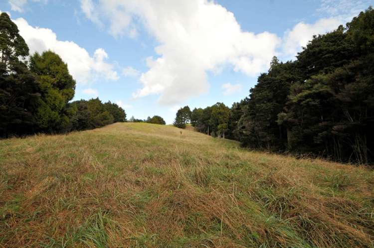 641 Valley Road Kaiwaka_9