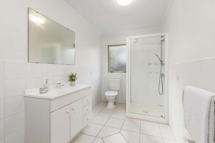 22 Poturi Streams Avenue Titirangi_9