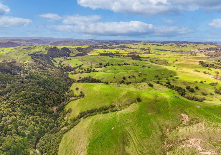 325b Haruru Road Wainui_28
