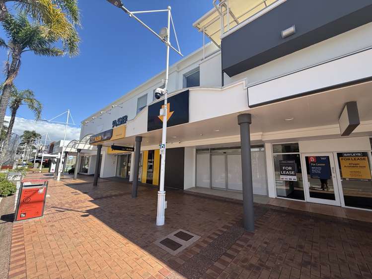 1 Spring Street Tauranga_5