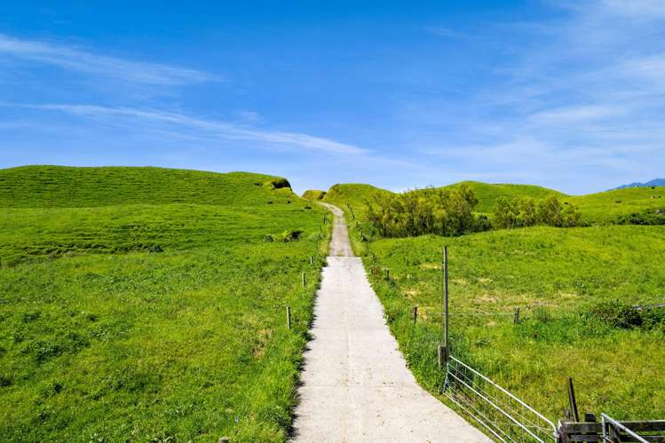 617 Parihaka Road Pungarehu_11