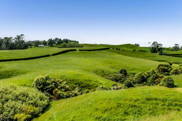 Upland Road Egmont Village_14